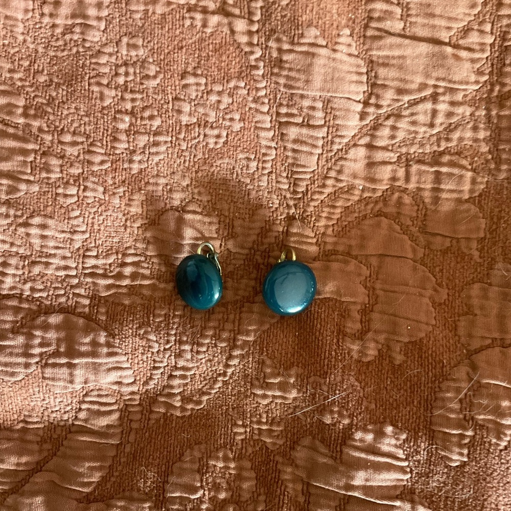 Blue Oval Earrings